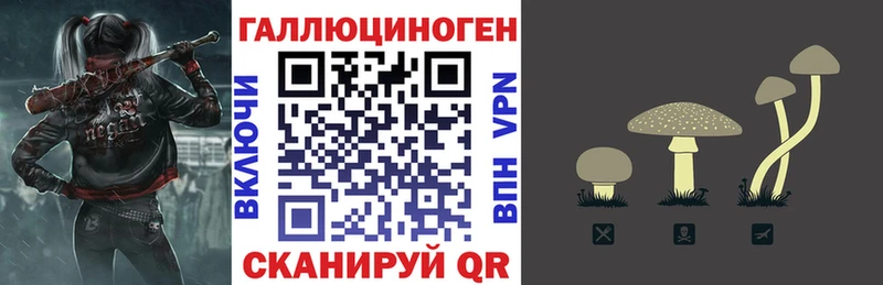 Псилоцибиновые грибы MAGIC MUSHROOMS дарнет шоп Черкесск